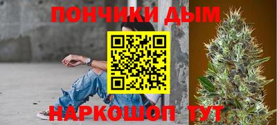 прущие грибы Кандалакша