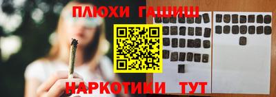 прущие грибы Кандалакша